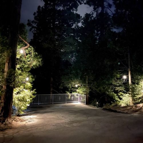 Magical forest entryway softly lit by string lights, offering a warm welcome beneath towering trees at dusk.