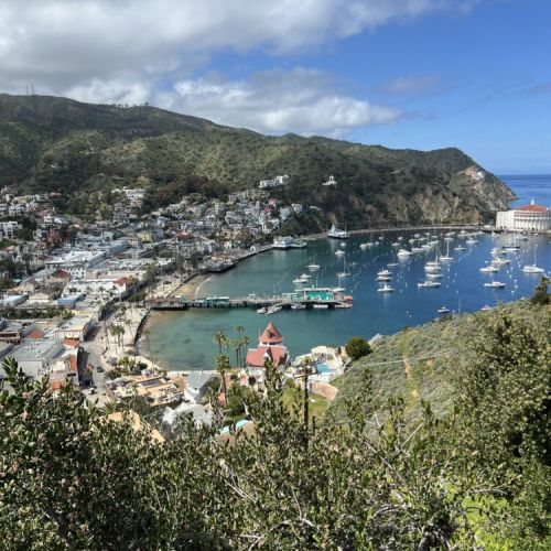 Avalon